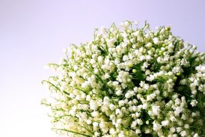 1 er mai2