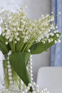 MUGUET