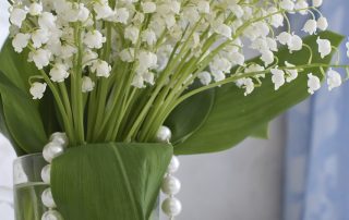 MUGUET