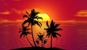 tropical
